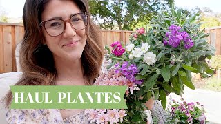 1er haul Plantes chez nous [upl. by Aikemit]