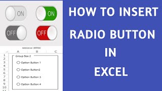 How to Insert Radio Button in Excel  The EASY Way [upl. by Anderea]