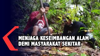 Penanaman Kembali Hutan Adat Bukit Samabue Sebagai Warisan Bagi Banyak Generasi [upl. by Wheelwright915]