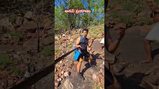 అడవిప్రయాణం🧗 adventure trekking hiking forest wildlife nature trending explore shorts me [upl. by Zoilla]