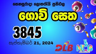 Govisetha 3845 Saturday September 21 2024 NLB and DLB lottery result [upl. by Sloatman]