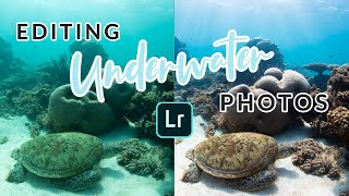 How to Edit Underwater Photos  Basic Lightroom Colourgrading GoPro and RAW Photos [upl. by Atinat]