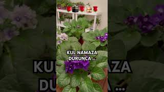 🔥Kul Namaza Durduğu Vakit namaz namazaşkı shortvideo youtubeshorts trending shortvideo dua [upl. by Akimyt]