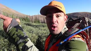 Opening DAY Colorado Public Land Muzzleloader Elk Hunt 2019 [upl. by Nailil]