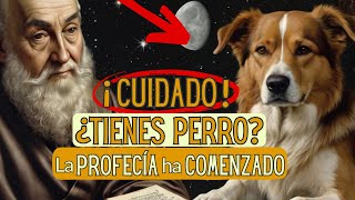 😮¡IMPACTANTE Lo que NOSTRADAMUS PREDIJO para quien tiene PERRO en CASA  PROFECÍA REVELADA 🐾🌟 [upl. by Derinna]