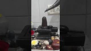 Shiva pooja by Pranav sharma [upl. by Twedy]