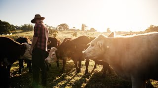 New Zealandbased dairy company Fonterra is selling its Australian operations [upl. by Alicia20]