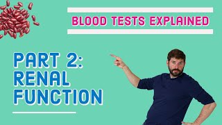 Renal Kidney Function Blood Test  What does it mean UampE biochem [upl. by Dill]