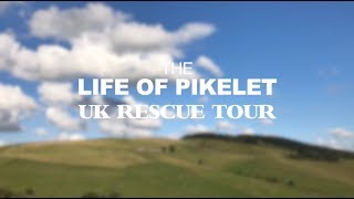 The LIFE OF PIKELET UK Rescue Tour [upl. by Oinotnaesoj311]