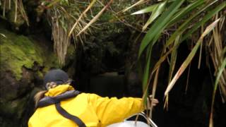 Smugglers Cove Port Pegasus Stewart Island [upl. by Philander953]