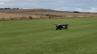 Seagull Westland Lysander [upl. by Scornik583]