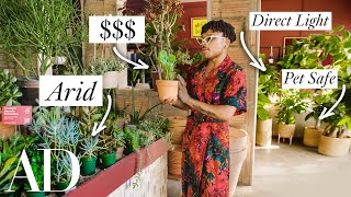 How To Shop For Houseplants Explained By A Plant Expert  Architectural Digest [upl. by Amre]