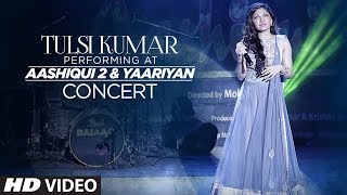 Mere Humsafar Full Song with LYRICS  Mithoon Tulsi Kumar  All Is Well  TSeries [upl. by Pauwles78]