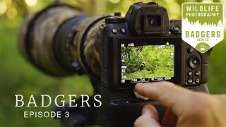 THIS IS WHY I DO WILDLIFE PHOTOGRAPHY  Badgers Ep3  woodland photography camouflage nikon z6 [upl. by Atiuqes]