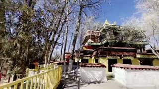 Potala palace and Naga temple in LhasaTibet [upl. by Ajnin]