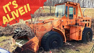 After Sitting 20 years will this Big old Wheel Loader Drive 3 miles home Pt2 [upl. by Einnaj]