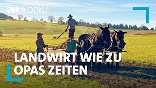 Joachims Experiment  Landwirtschaft wie vor 100 Jahren  SWR Doku [upl. by Keithley]