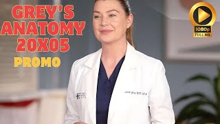 Greys Anatomy 20x05 HD Promo quotNever Felt So Alonequot  Greys Anatomy Season 20 Episode 5 Promo [upl. by Nodnrb608]