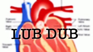 HEART SOUNDS EXPLAINED Lub Dub Lub Dub [upl. by Memberg]