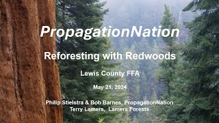 Reforesting with Redwoods by Philip Stielstra and Terry Lamers [upl. by Seldan]