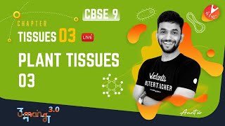 Tissues L3 Plant Tissues Part3  CBSE 9 Science Chapter 6 Biology  NCERT Solutions  Vedantu [upl. by Reseta]