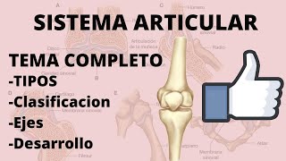 ARTICULACIONES o SISTEMA ARTICULAR MEJOR EXPLICADO  Anatomía [upl. by Weihs973]