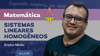 Sistemas lineares homogêneos  Matemática  Ensino Médio [upl. by Nimajeb507]