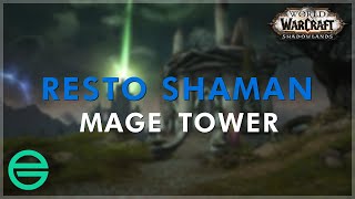 Resto Shaman Mage Tower Timewalking [upl. by Lorianne]