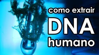 Como extrair DNA humano EXPERIÊNCIA [upl. by Karlene215]