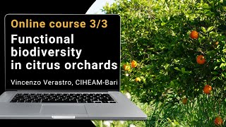 Functional biodiversity in organic citrus orchard webinar 33 [upl. by Eisak]