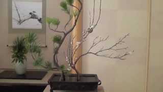 How to make an authentic Ikebana 2 いけばな華道遠州 [upl. by Dita]