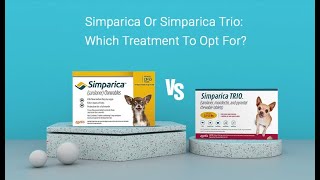 Simparica vs Simparica Trio [upl. by Afira428]