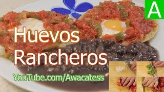 Huevos Rancheros Recetas de Cocina de Comidas Mexicanas faciles y economicas [upl. by Aix813]