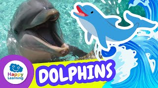 CURIOSITIES ABOUT DOLPHINS 🐬 Why Do They Sleep with One Eye Open  HappyLearningENG [upl. by Airret]