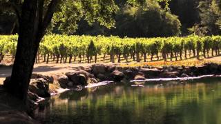 Napa Valley Rocks  FULL PRESENTATION 2026 [upl. by Radmen]