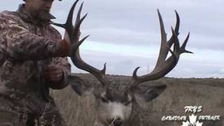 Monster Canadian Mule Deer [upl. by Petigny]