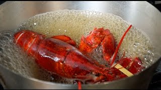 How to Steam a Lobster [upl. by Subocaj]