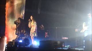 Lana Del Rey  American Live in Munich [upl. by Hanej]