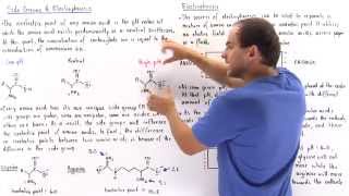 Isoelectric Point and Electrophoresis [upl. by Cirdec]