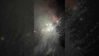 Pyrogenie Batterie Wirbel Effekt fypシ゚viral fajerwerki feuerwerk vuurwerk fypシ゚ [upl. by Grounds]