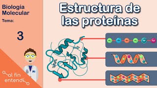 Estructura de las proteínas y enlaces que la estabilizan Al fin entendí Biología molecular [upl. by Gaudette617]