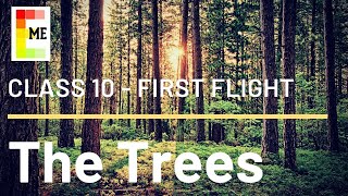 The Trees Poem Class 10  First Flight Poem 8  Explained with Literary Devices [upl. by Ymac]