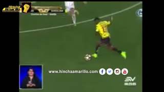 Lenin Artieda sobre Barcelona SC semifinalista de la Copa Libertadores 2017 [upl. by Artenahs770]