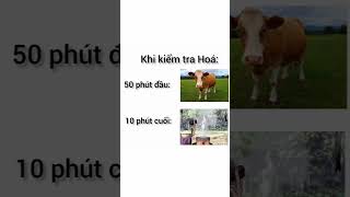 Kiểm tra Hoá belike memehaihuoc memes haihuoc haihuocvuinhon shorts memes [upl. by Noakes]