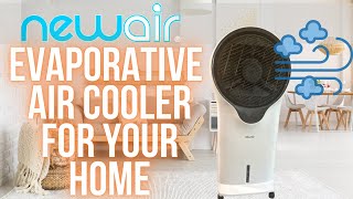 Best Evaporative Cooler Review [upl. by Hopper]