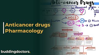 Principle of Chemotherapy History amp Classification Paul Ehrlich L1 Unit2 PharmacologyIII 6th sem [upl. by Ashlin68]