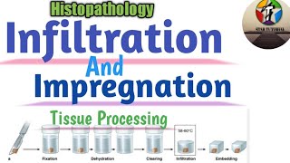 Infiltration And Impregnation in Hindi ll Tissue Processing ll Histopathology [upl. by Orodisi497]