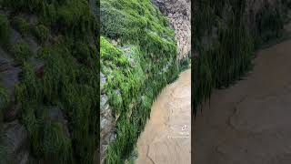 Relaxing Water Sounds Coast Walk relaxing asmr coast [upl. by Eyeleen]