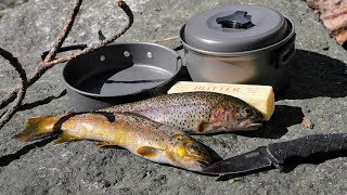 Catch and Cook and Camp Ep 3  Solo 2 Night 3 Days in the Wild  No Tent [upl. by Nived745]