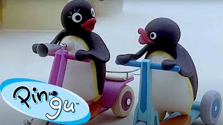 Pingu Surprises Everyone 🐧  Pingu  Official Channel  Cartoons For Kids [upl. by Ayinat]